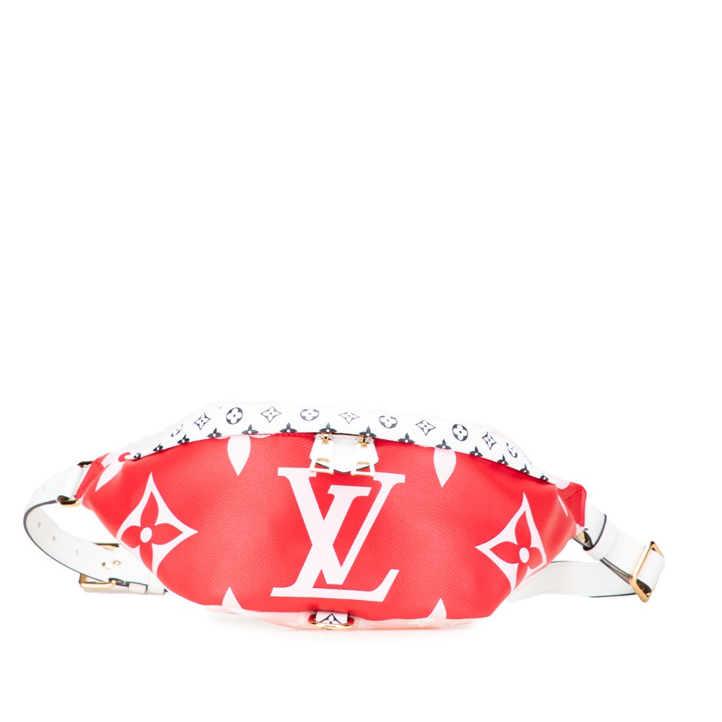 Louis Vuitton Monogram Giant Bumbag