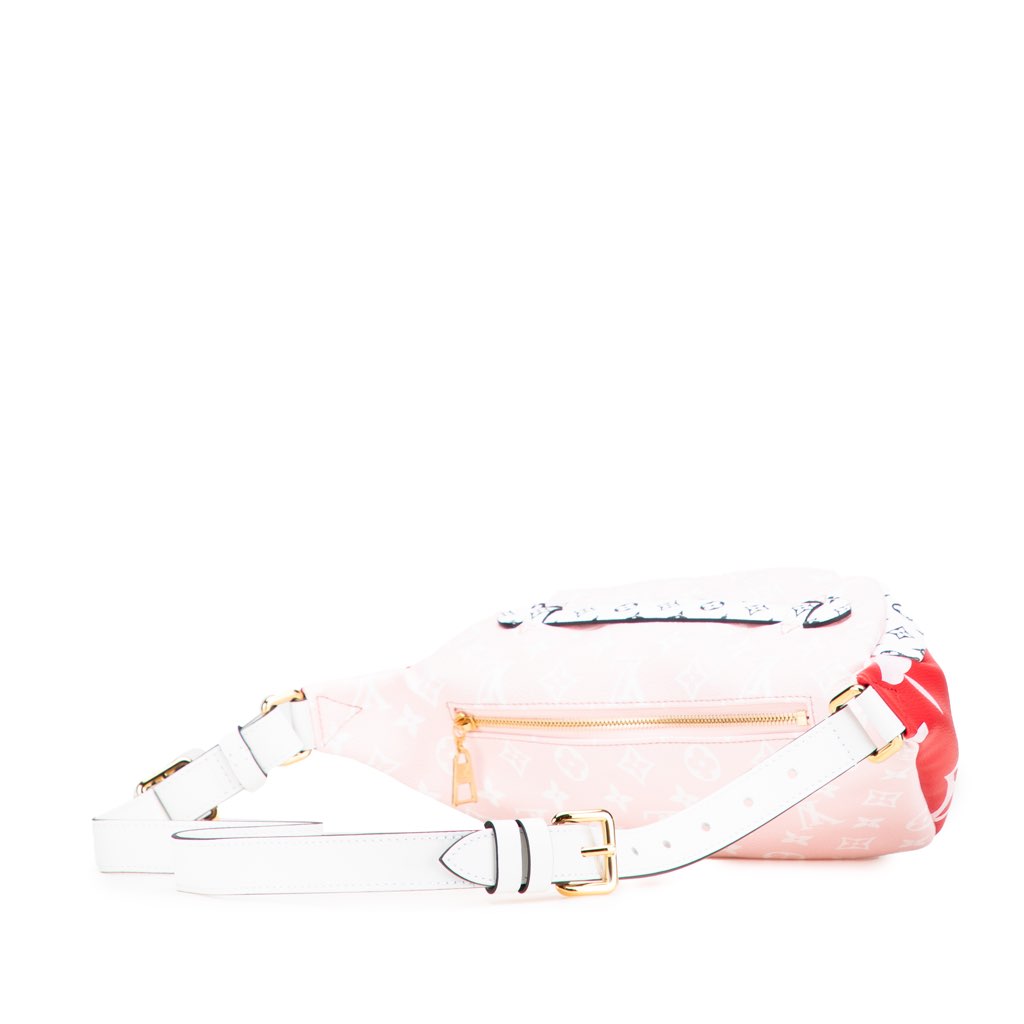 Louis Vuitton Monogram Giant Bumbag - Back view