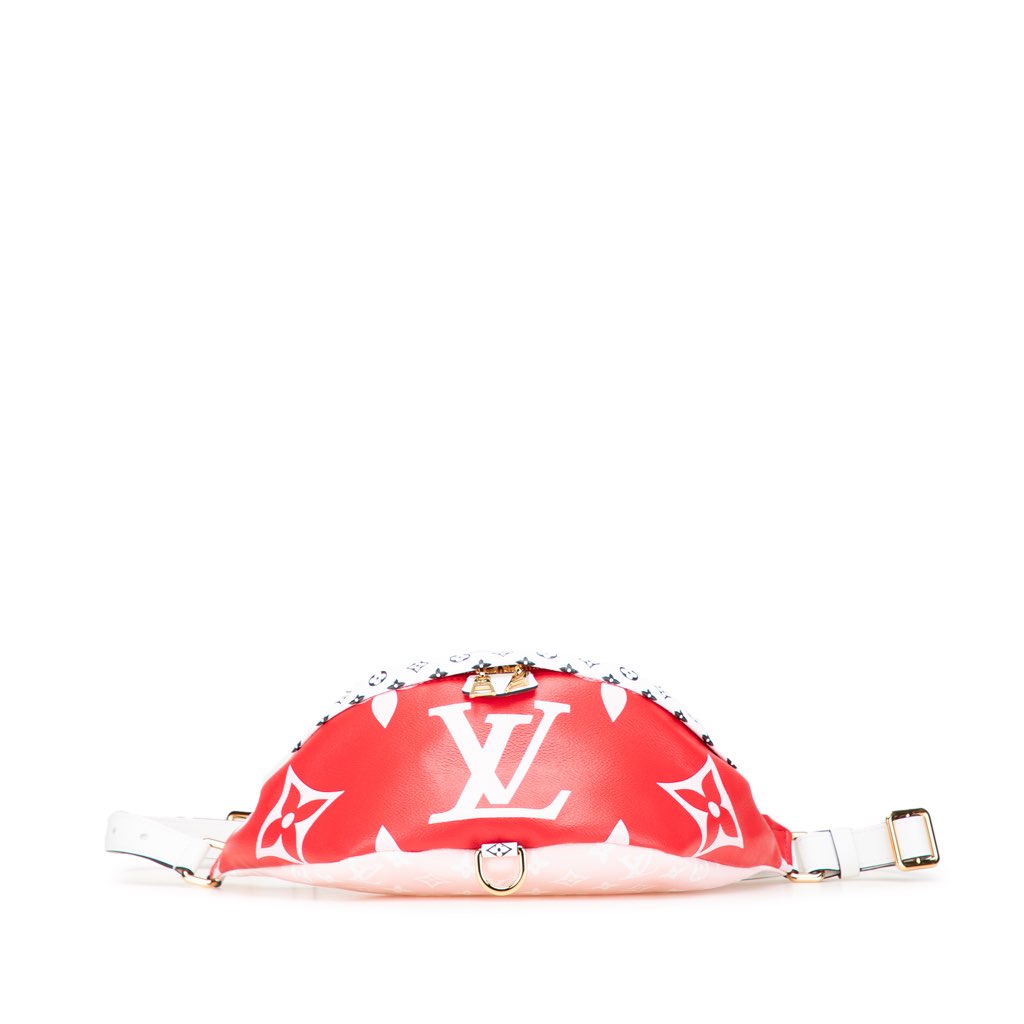 Louis Vuitton Monogram Giant Bumbag - Image 6