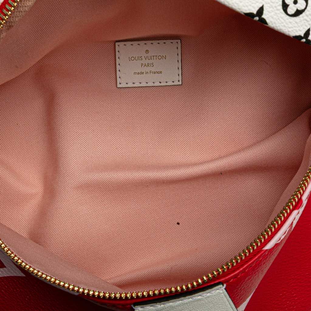 Louis Vuitton Monogram Giant Bumbag - 4