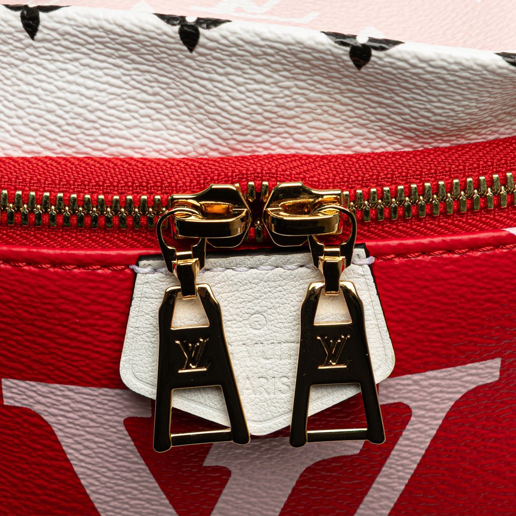 Louis Vuitton Monogram Giant Bumbag - Detail 2
