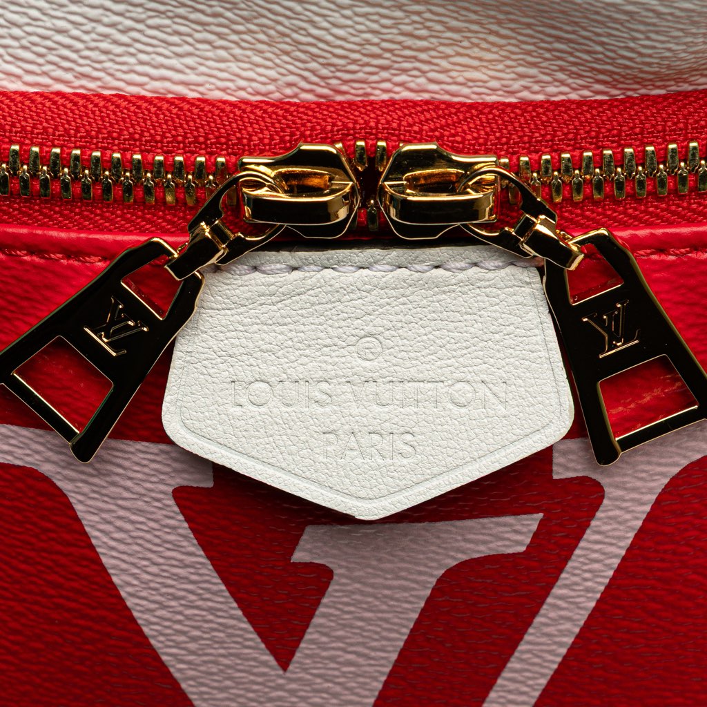 Louis Vuitton Monogram Giant Bumbag - Image 10