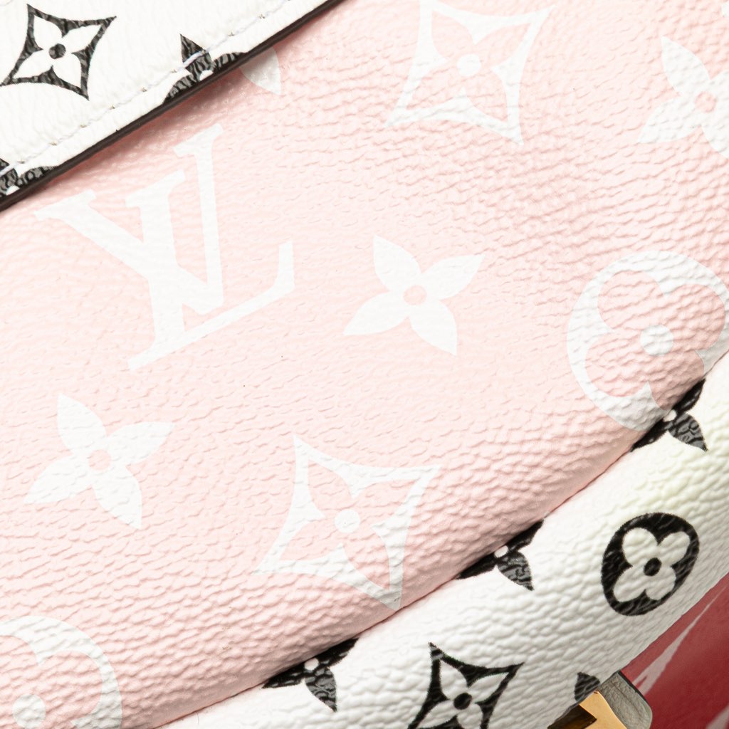 Louis Vuitton Monogram Giant Bumbag - Image 11