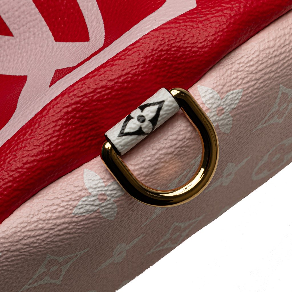 Louis Vuitton Monogram Giant Bumbag - Image 12