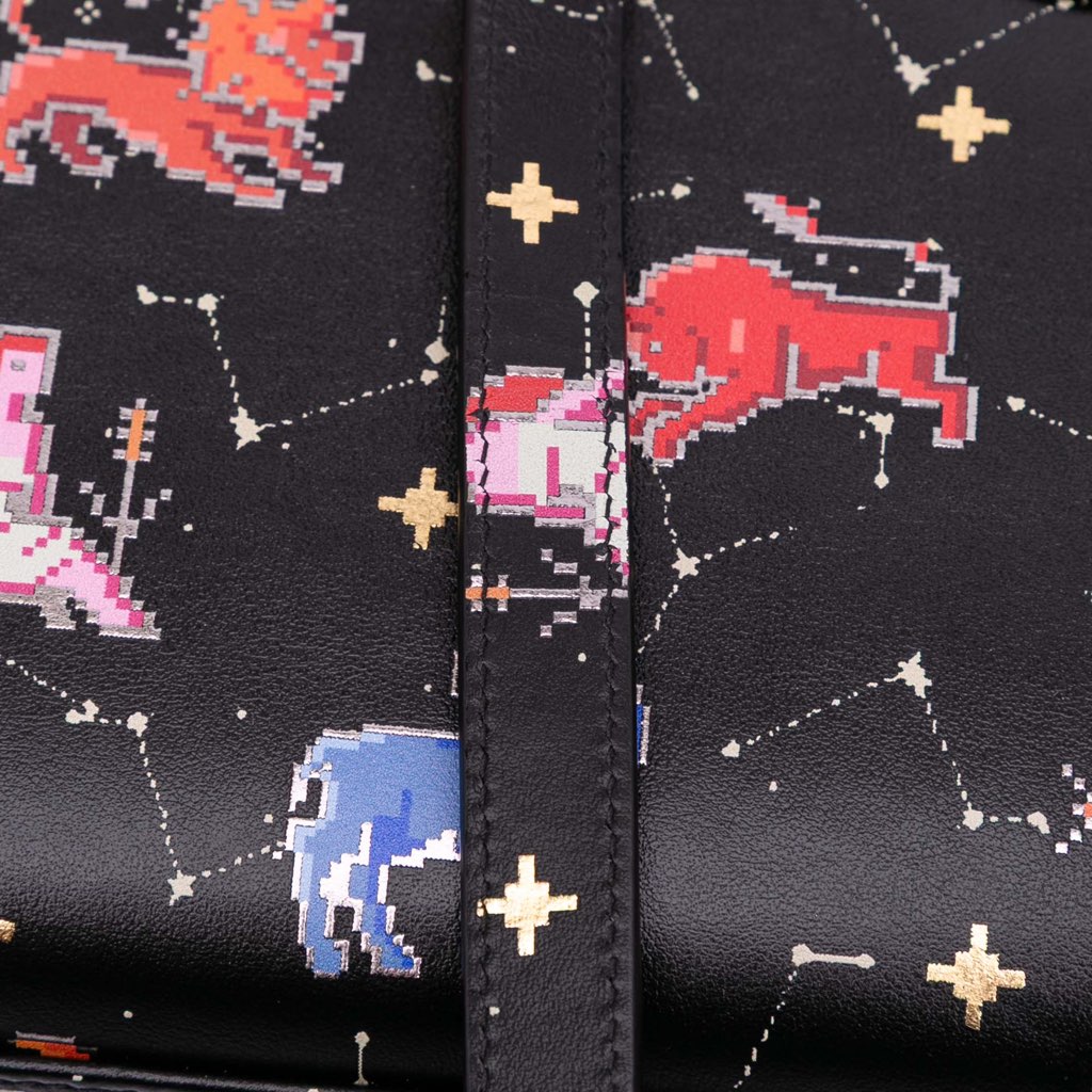 Dior Mini Calfskin Pixel Zodiac Lady Dior - Detail 2