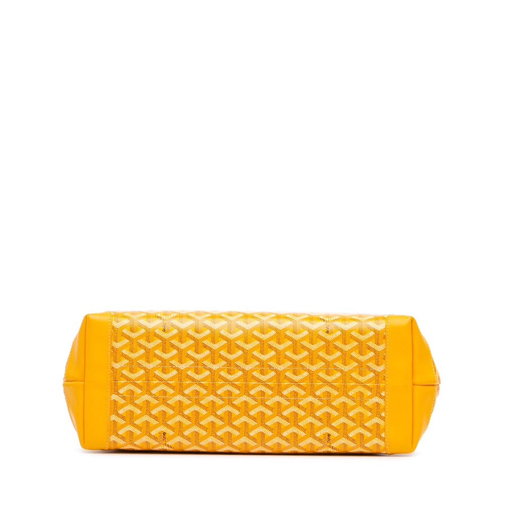 Goyard Goyardine Bellechasse PM - 3