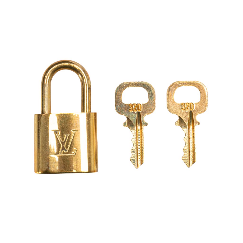 Louis Vuitton Damier Ebene Pegase 45 - Image 13