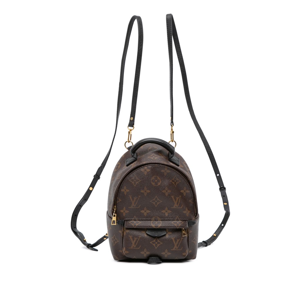 Louis Vuitton Monogram Mini Palm Springs