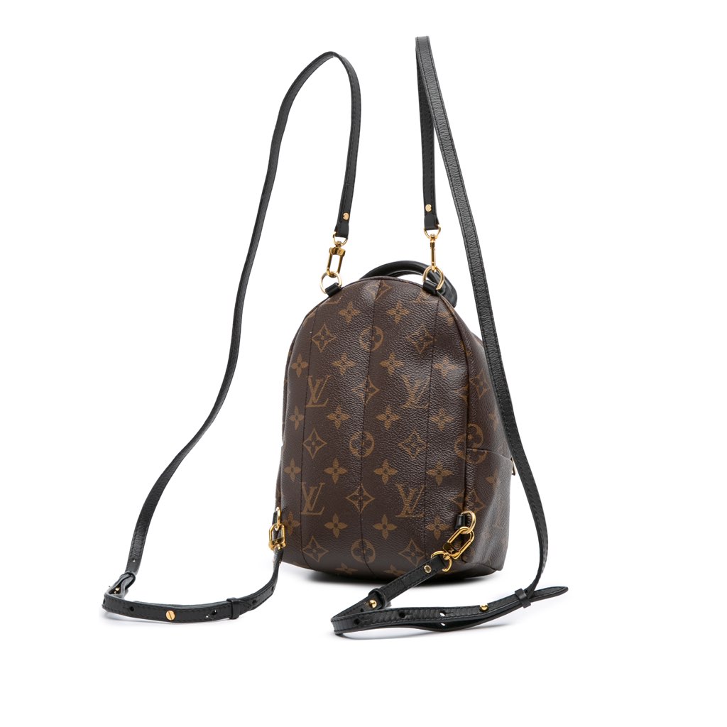 Louis Vuitton Monogram Mini Palm Springs - 2