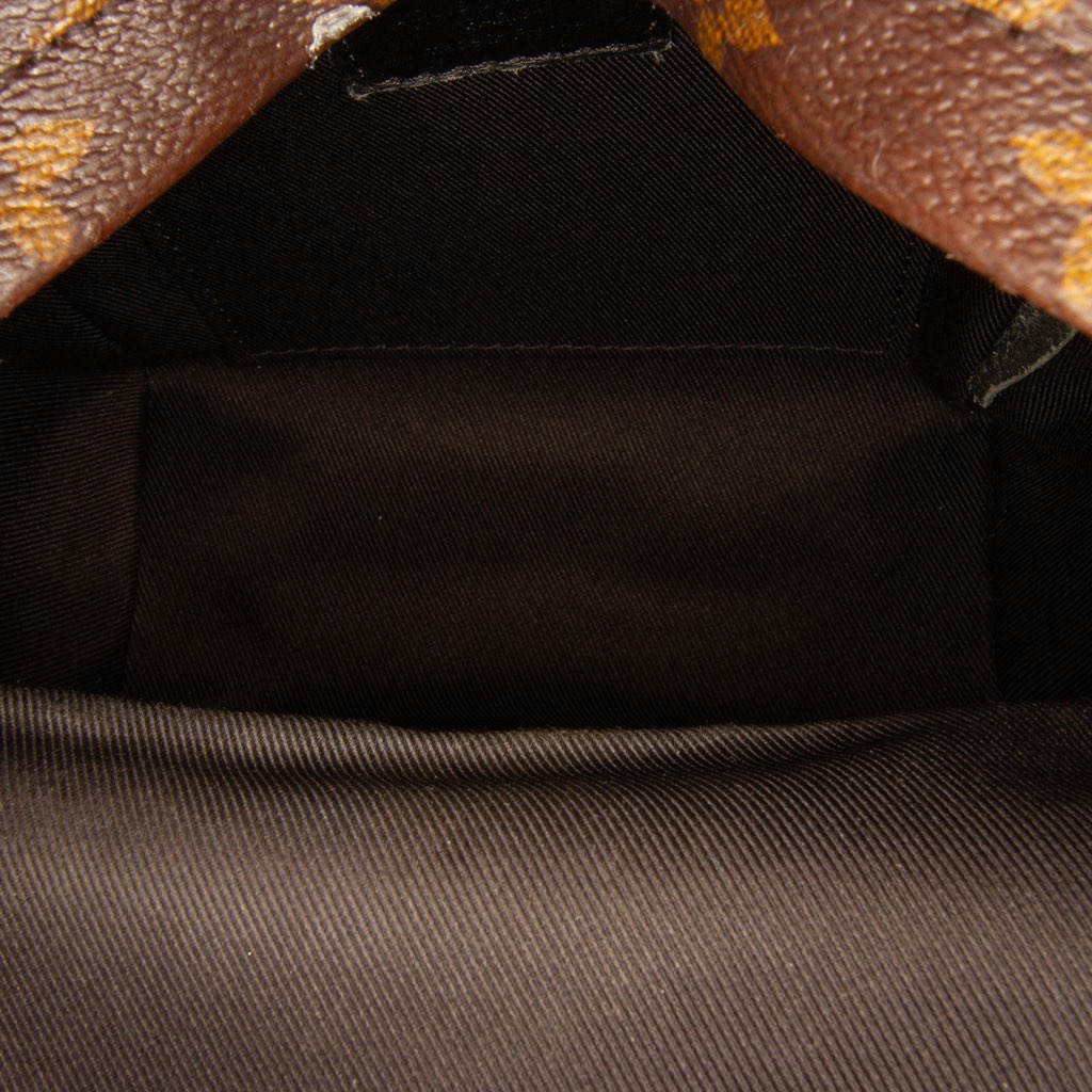 Louis Vuitton Monogram Mini Palm Springs - 4