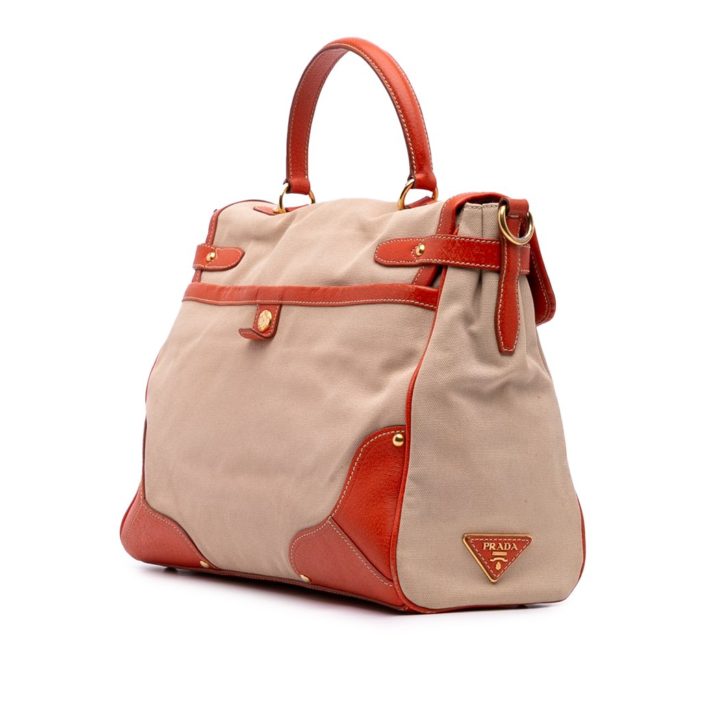Prada Cinghiale Trimmed Canapa Top Handle Bag - Back view