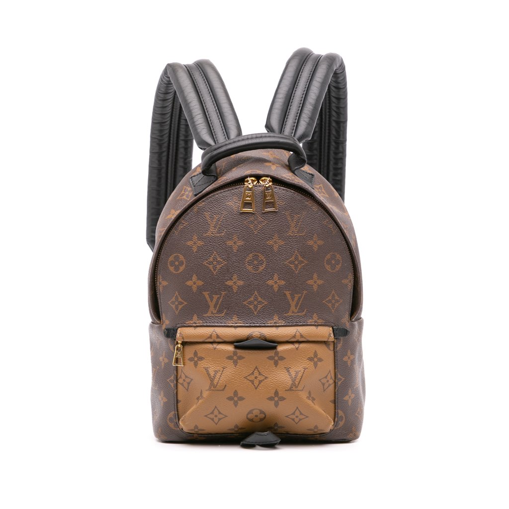 Louis Vuitton Monogram Reverse Palm Springs PM