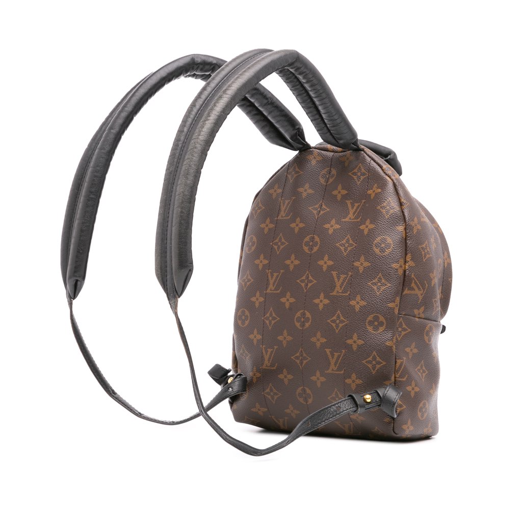 Louis Vuitton Monogram Reverse Palm Springs PM - Back view