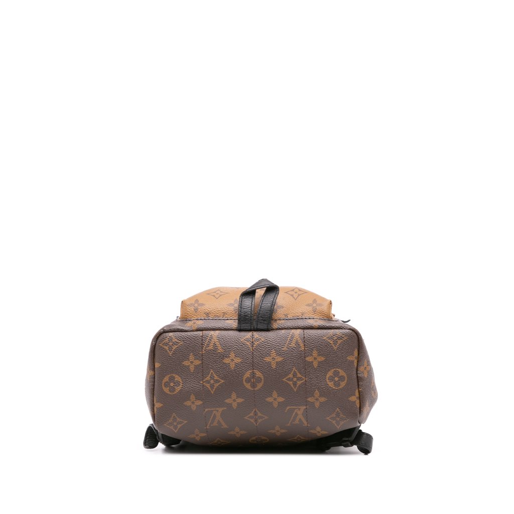 Louis Vuitton Monogram Reverse Palm Springs PM - Image 6