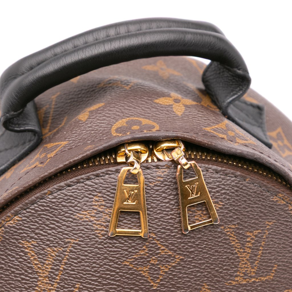 Louis Vuitton Monogram Reverse Palm Springs PM - Detail 2