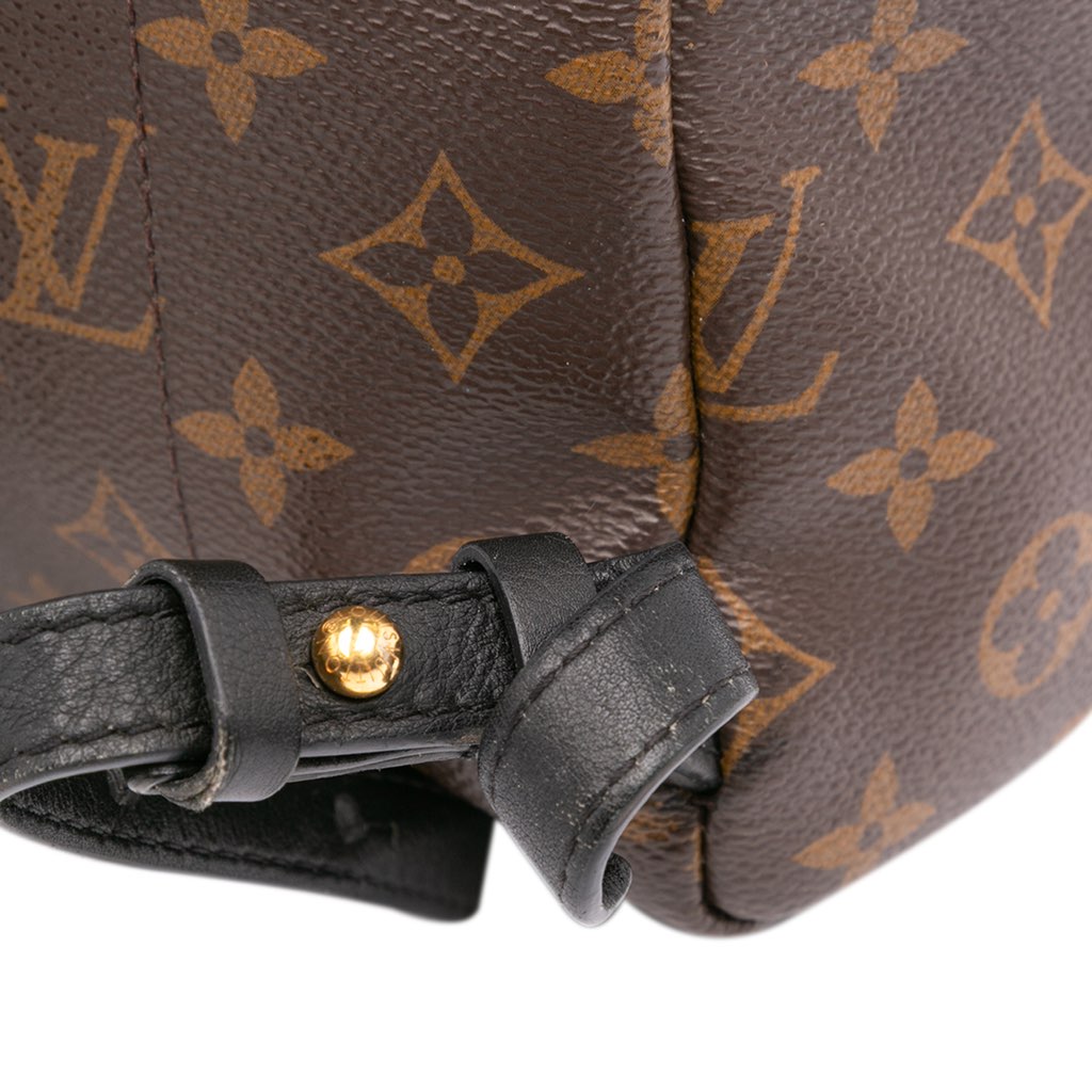Louis Vuitton Monogram Reverse Palm Springs PM - Image 11