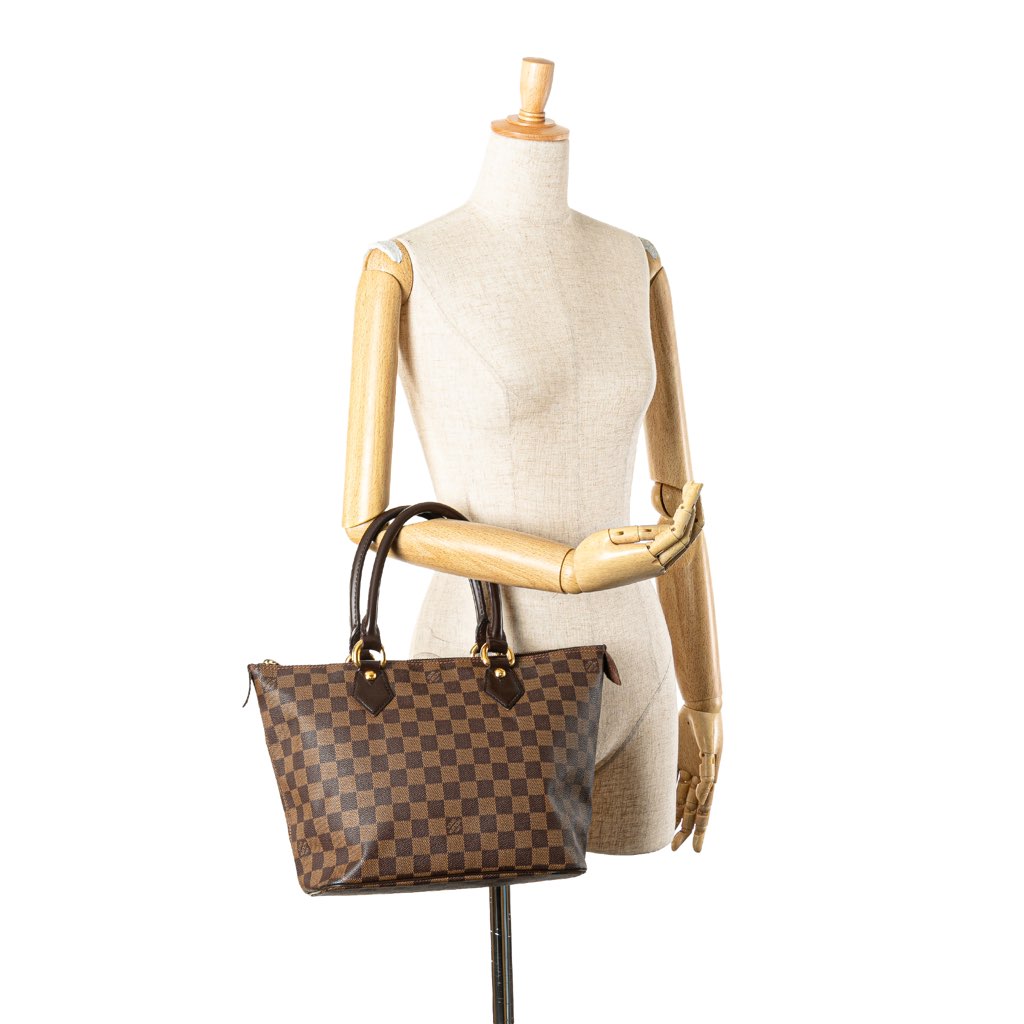 Louis Vuitton Damier Ebene Saleya PM - Image 14