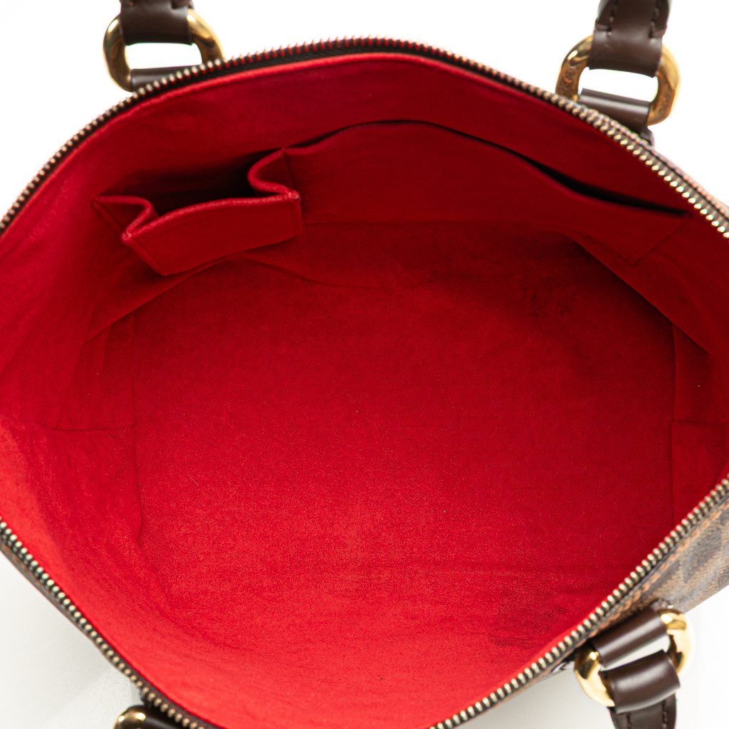 Louis Vuitton Damier Ebene Saleya PM - 4