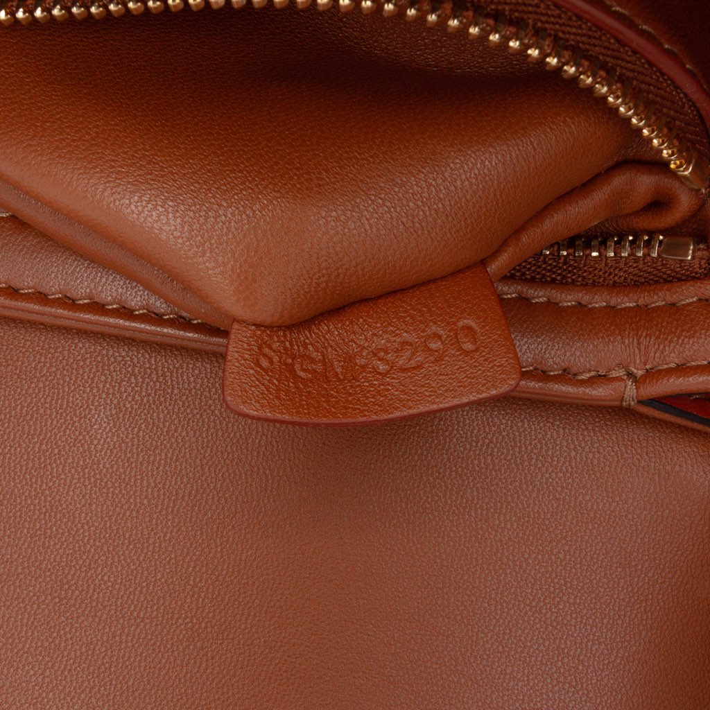 Celine Teen Canvas and Calfskin Triomphe Crossbody - 5