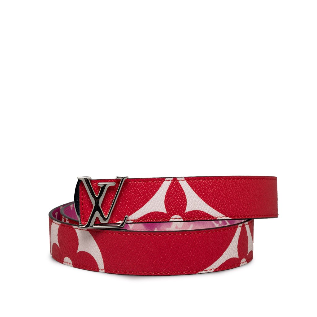 Louis Vuitton Monogram Giant Iconic Reversible Belt