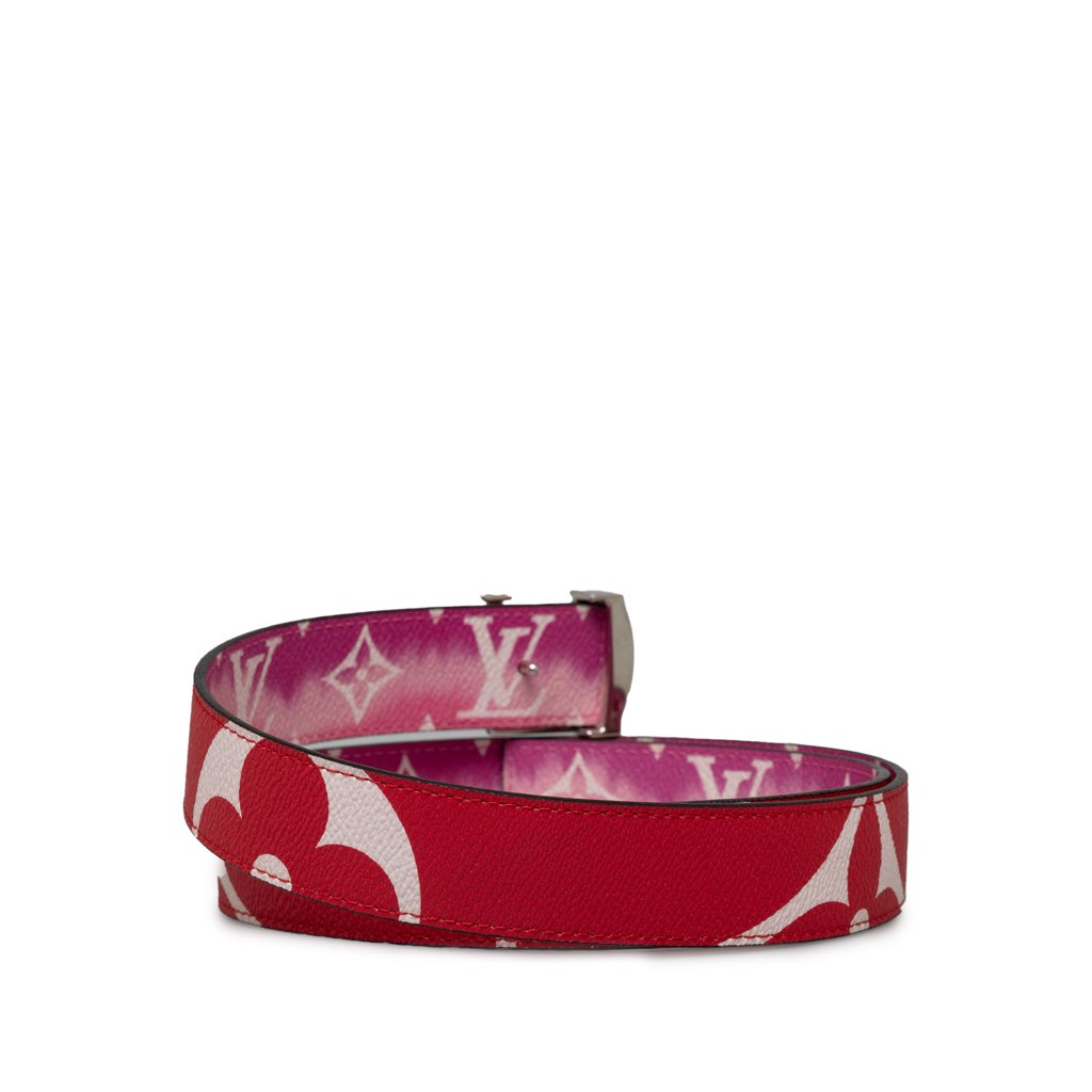 Louis Vuitton Monogram Giant Iconic Reversible Belt - 3