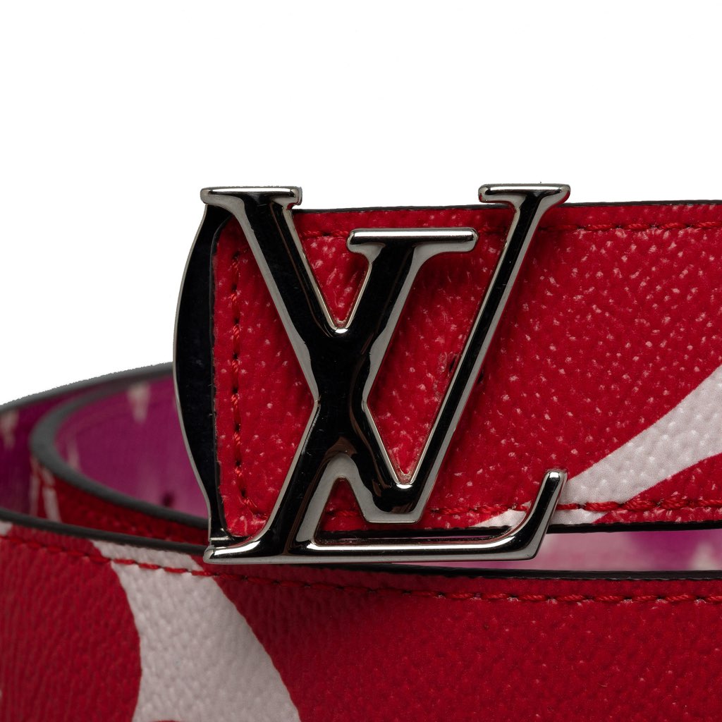 Louis Vuitton Monogram Giant Iconic Reversible Belt - 4
