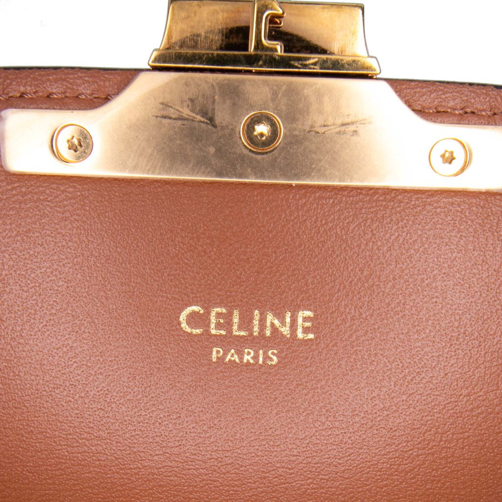 Celine Teen Triomphe Coated Canvas and Calfskin Triomphe Crossbody - 5