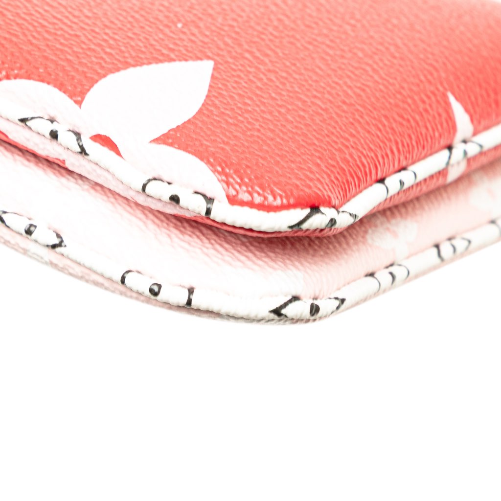 Louis Vuitton Limited Edition Monogram Giant Double Zip Pochette - Image 14