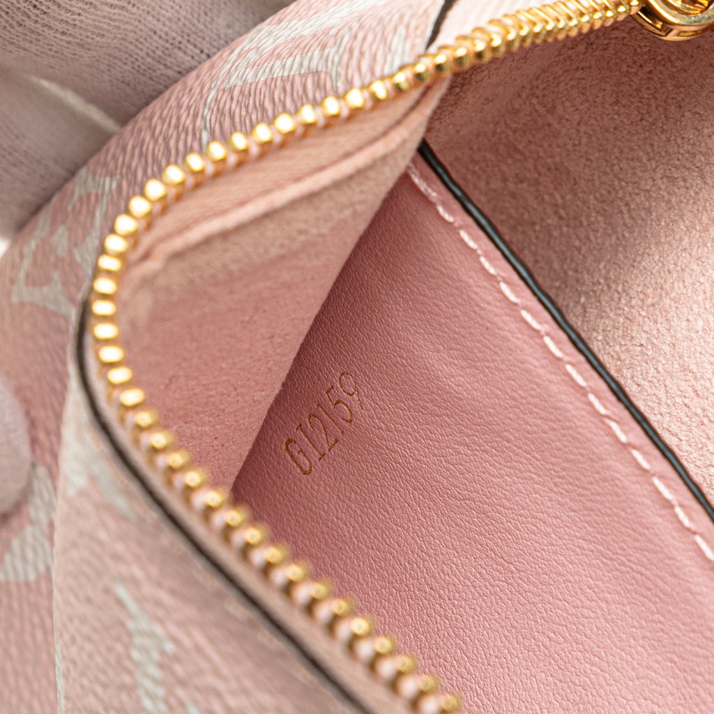 Louis Vuitton Limited Edition Monogram Giant Double Zip Pochette - Detail 2