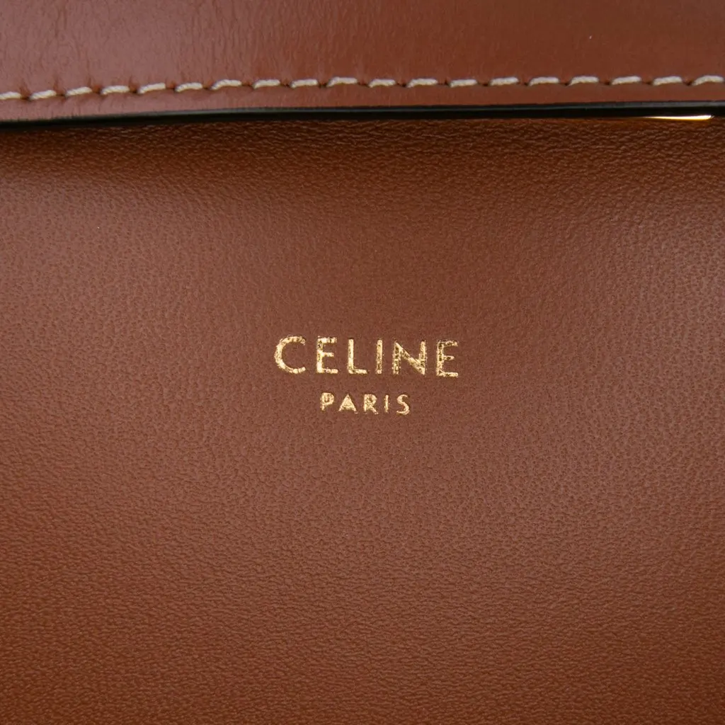 Celine Classique Triomphe Coated Canvas and Calfskin Triomphe Crossbody Brown Canvas Good - Box View