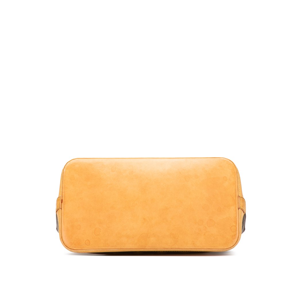 Louis Vuitton Monogram Alma PM - 3