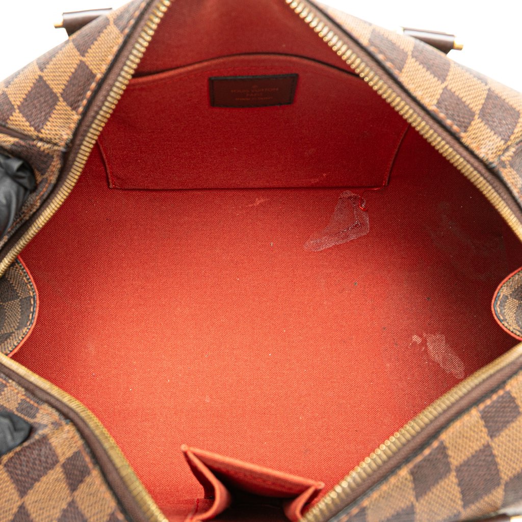Louis Vuitton Damier Ebene Ribera MM - 4