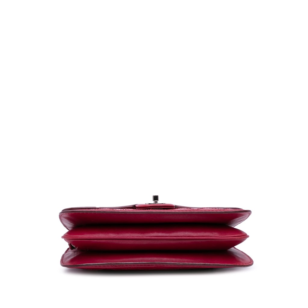 Chanel Medium Stitched Calfskin Citizen Flap - Image 6