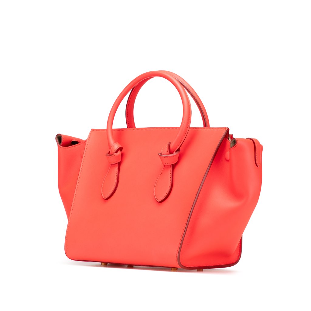 Celine Medium Smooth Calfskin Tie Knot Tote - Back view