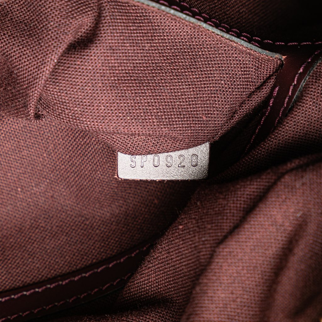 Louis Vuitton Taiga Reporter PM - Detail 2