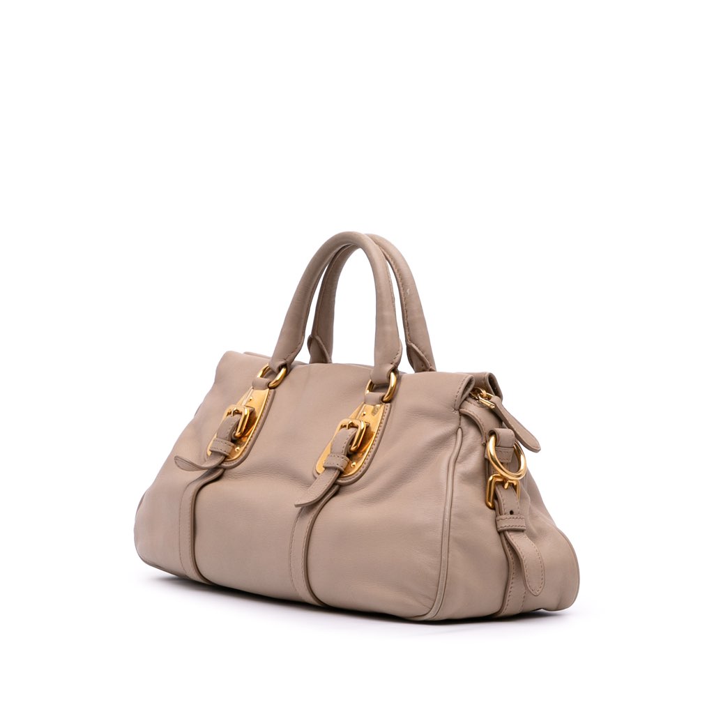 Prada Soft Calfskin Shopping Satchel - Back view