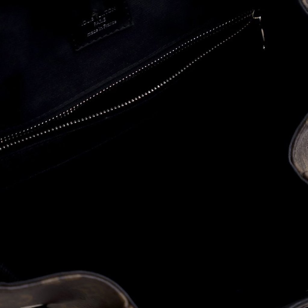 Louis Vuitton Monogram Macassar Christopher Backpack MM - 5