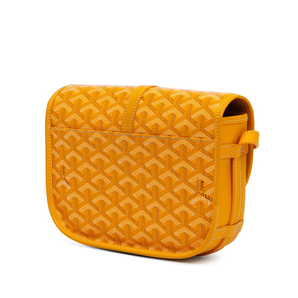 Goyard Goyardine Belvedere PM - 2