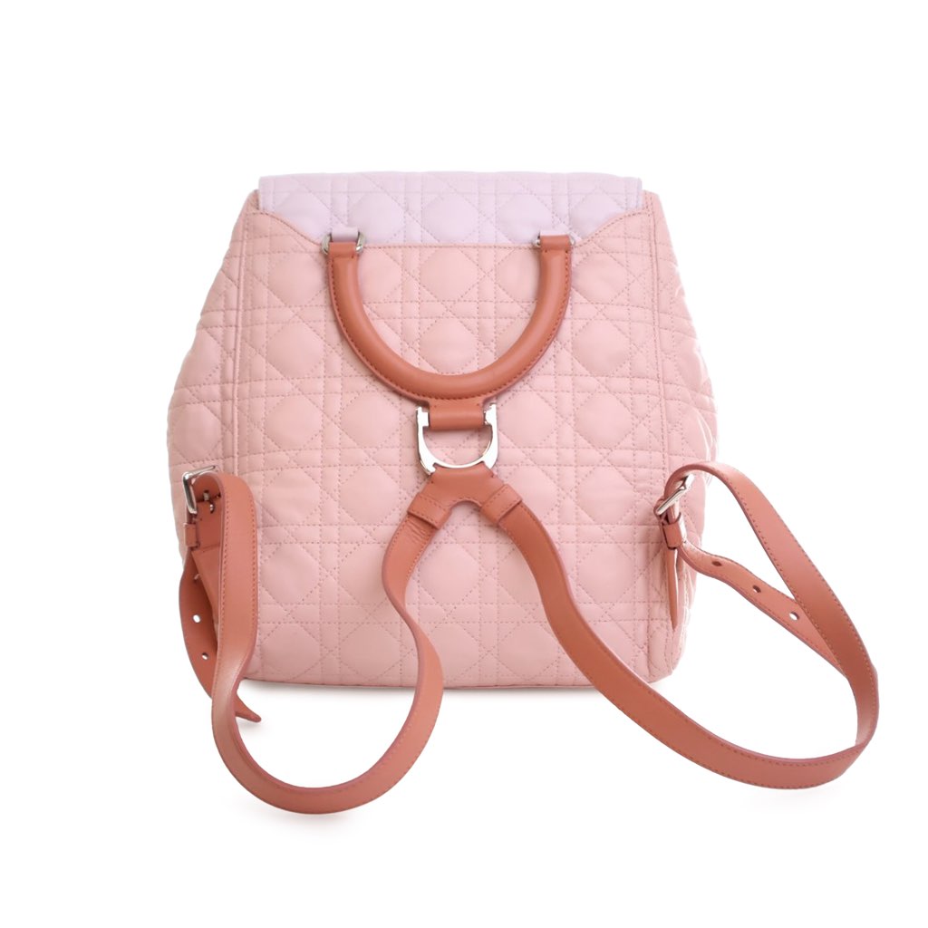 Dior Large Bicolor Lambskin Cannage Stardust Backpack - 2