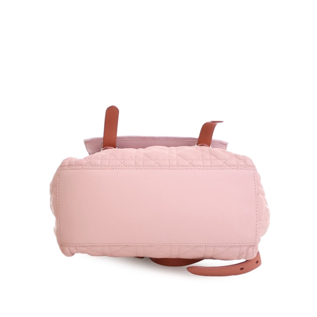 Dior Large Bicolor Lambskin Cannage Stardust Backpack - 3