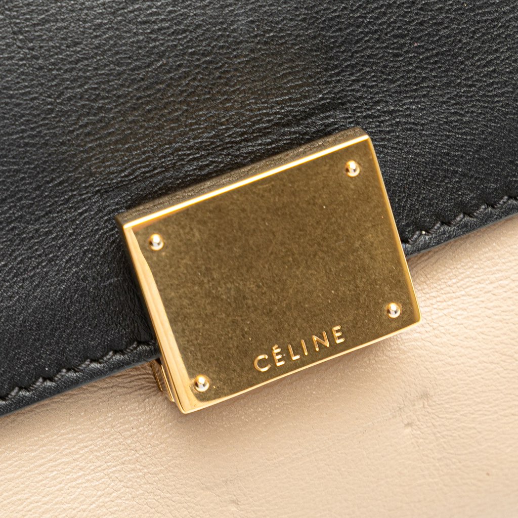 Celine Medium Bicolor Calfskin and Suede Trapeze Satchel - Side view