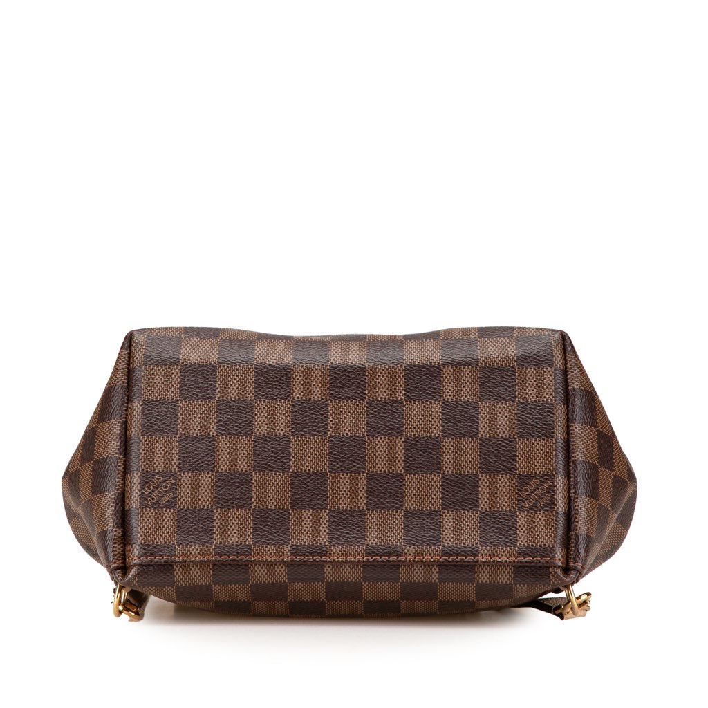 Louis Vuitton Damier Ebene Clapton - 3