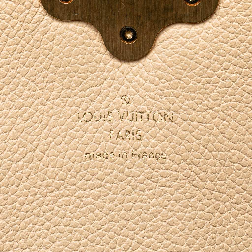 Louis Vuitton Damier Ebene Clapton - 5
