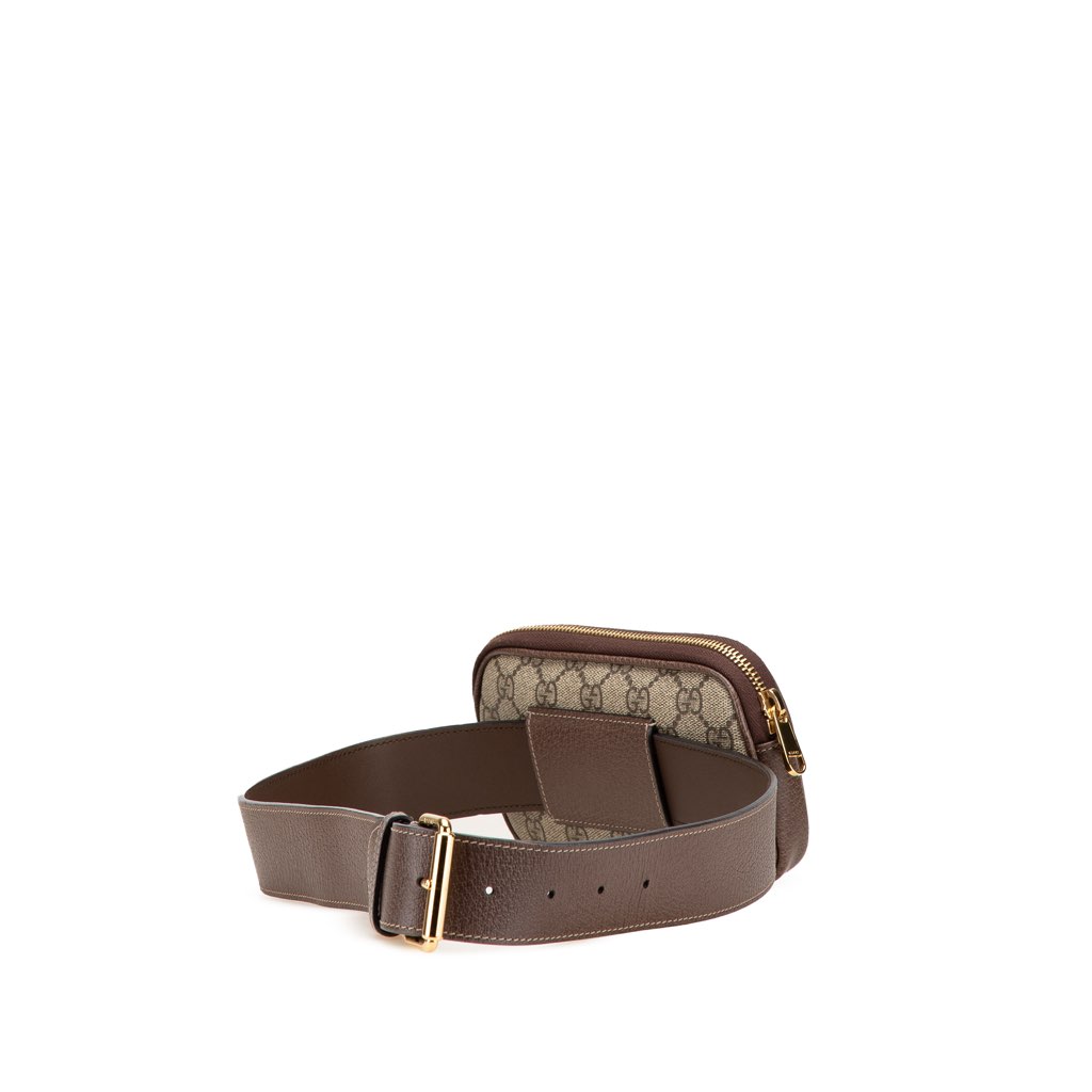Gucci GG Supreme Web Ophidia Belt Bag - 2