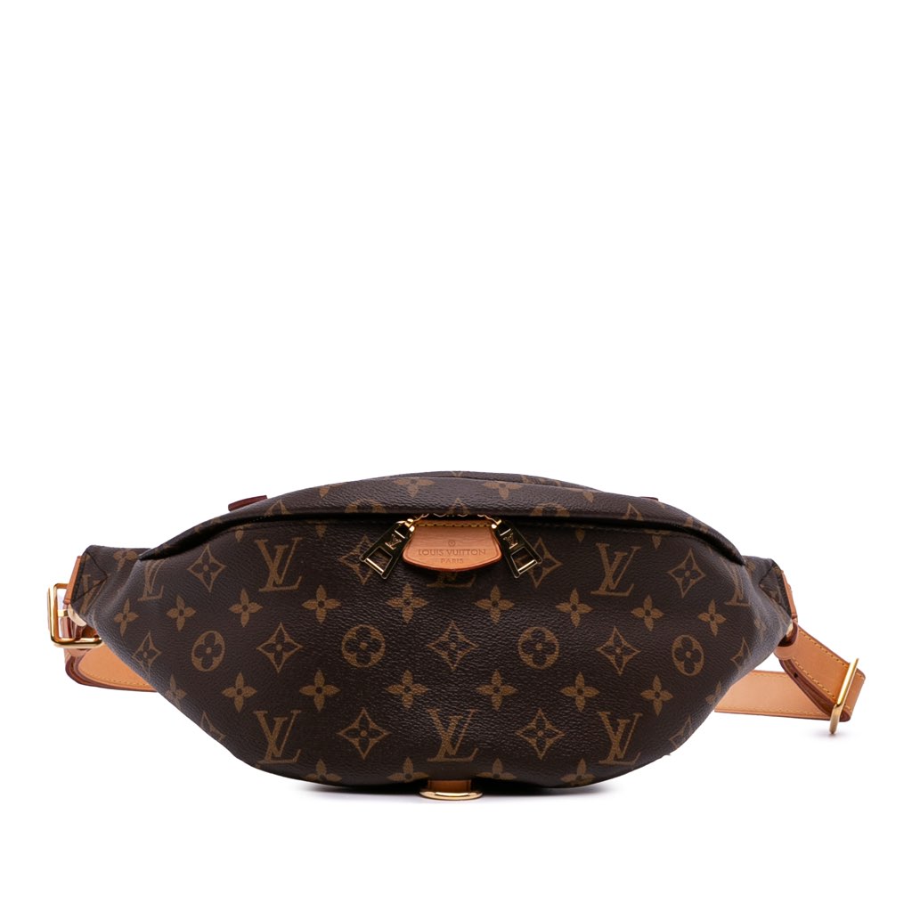 Louis Vuitton Monogram Bumbag