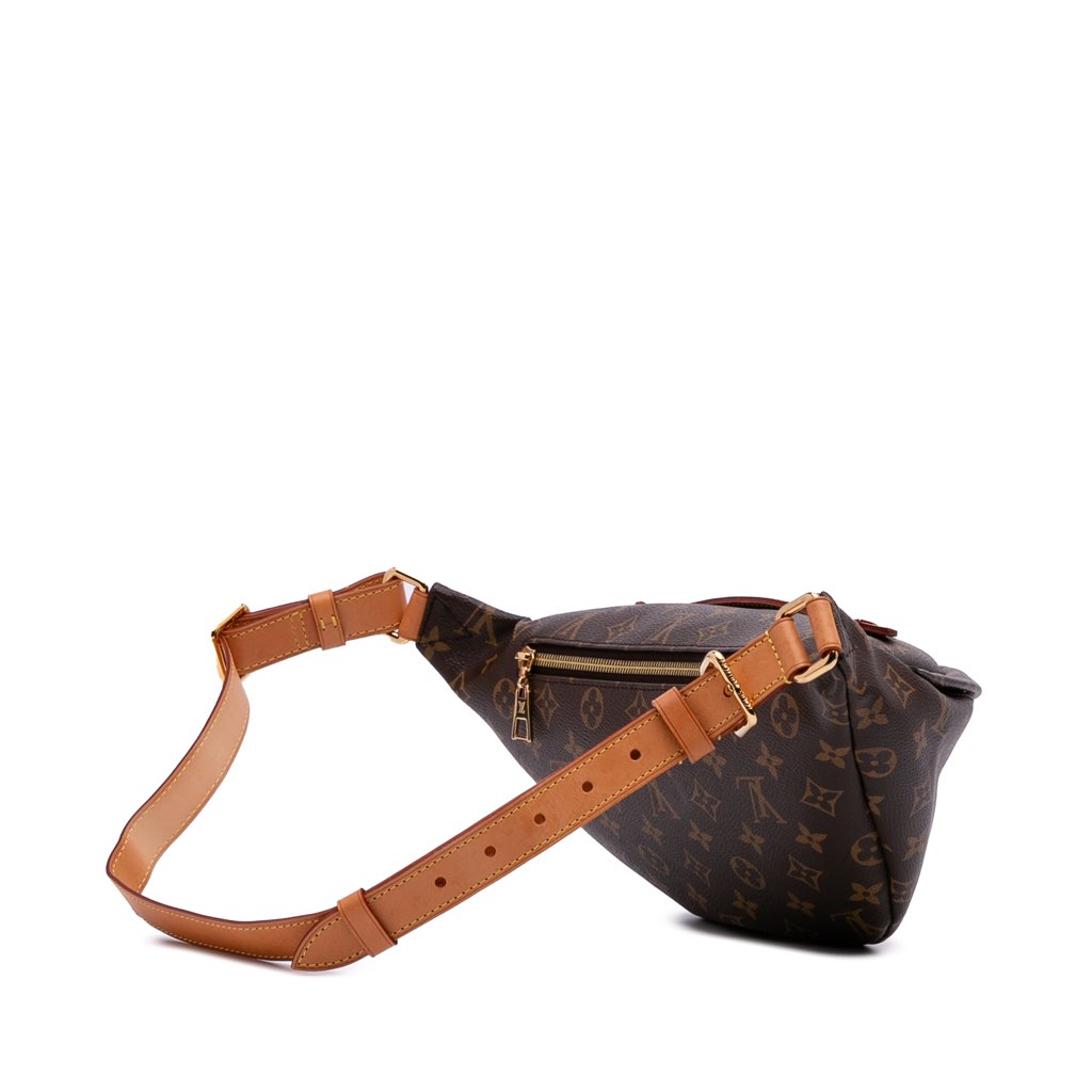 Louis Vuitton Monogram Bumbag - Back view