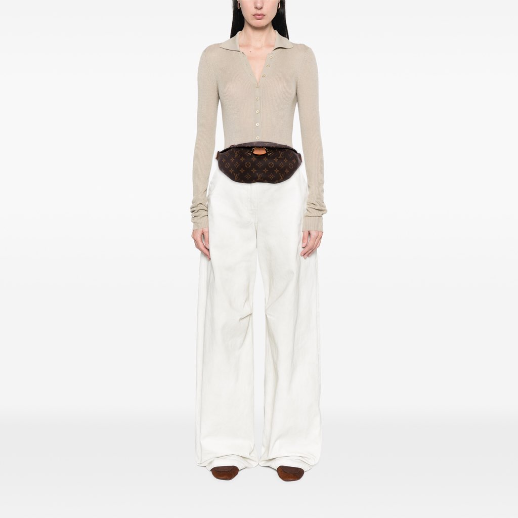 Louis Vuitton Monogram Bumbag - Image 14