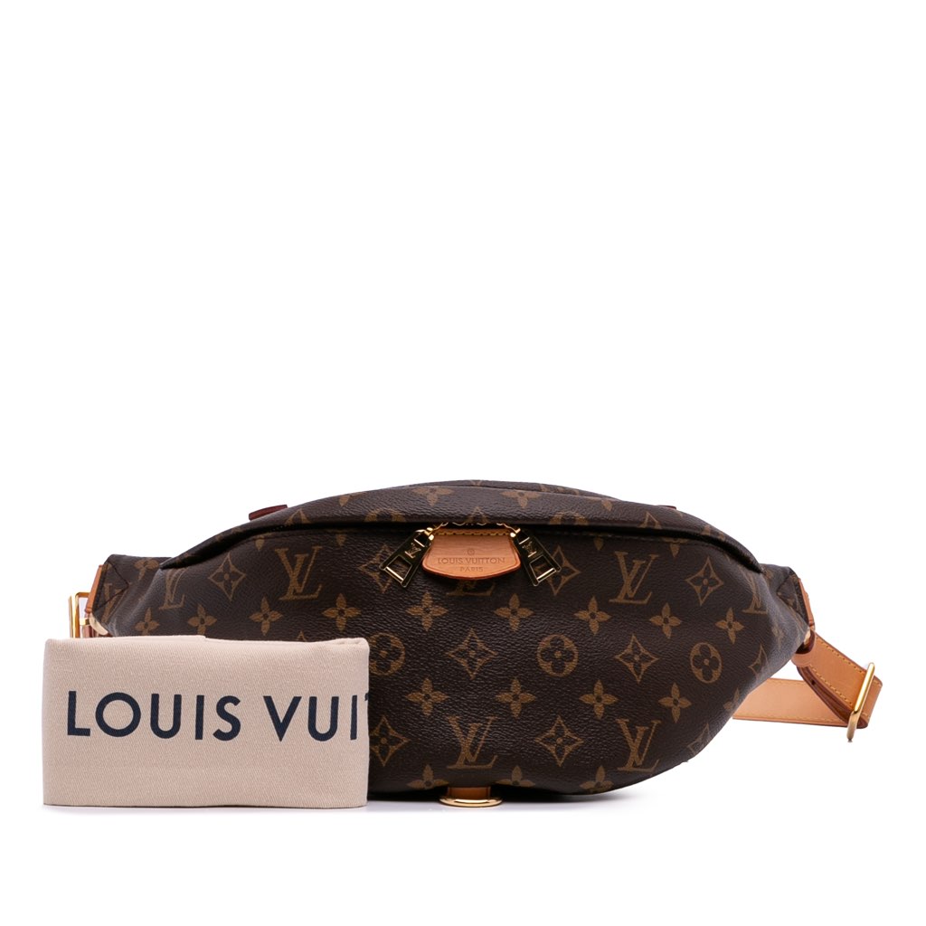 Louis Vuitton Monogram Bumbag - Image 15