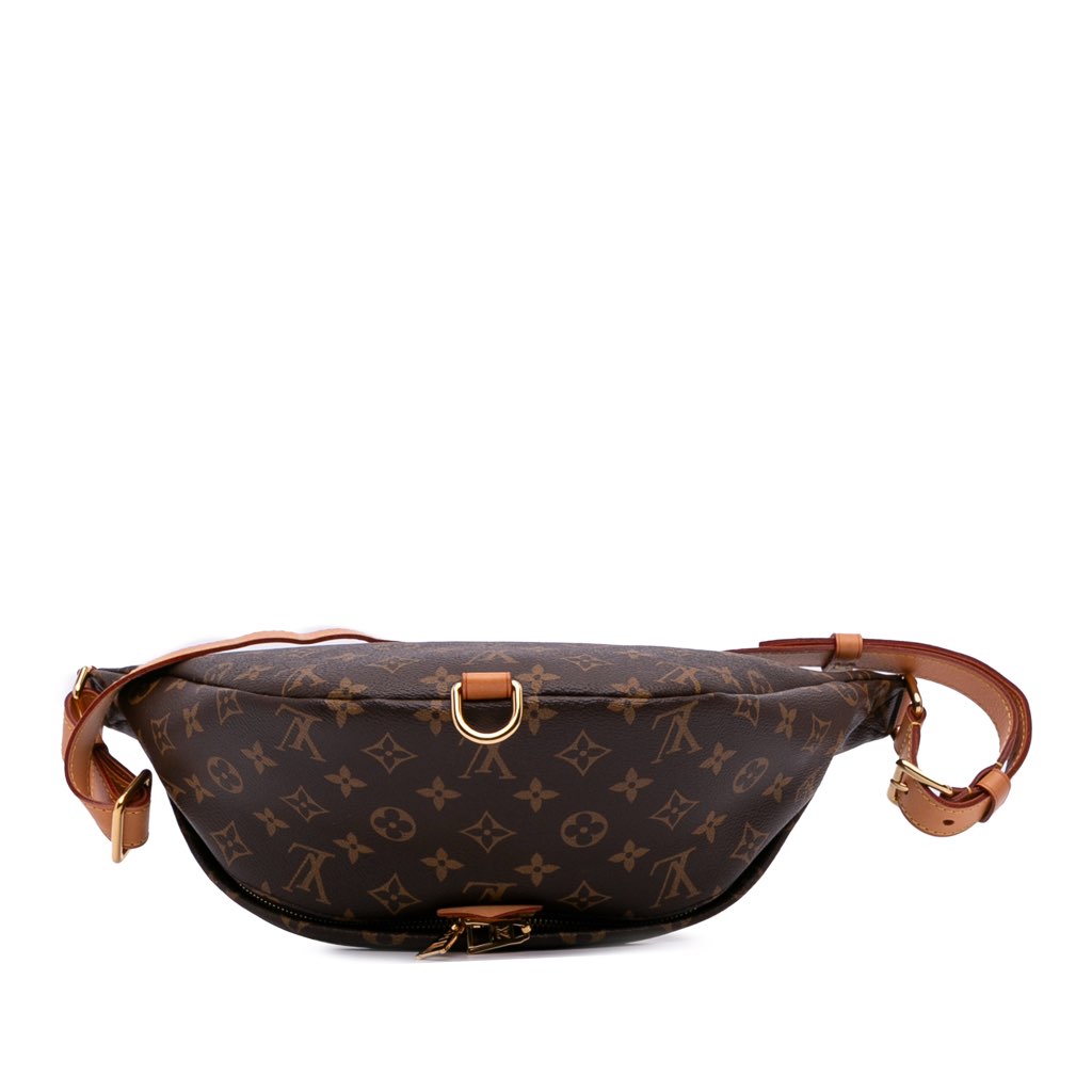 Louis Vuitton Monogram Bumbag - Image 6