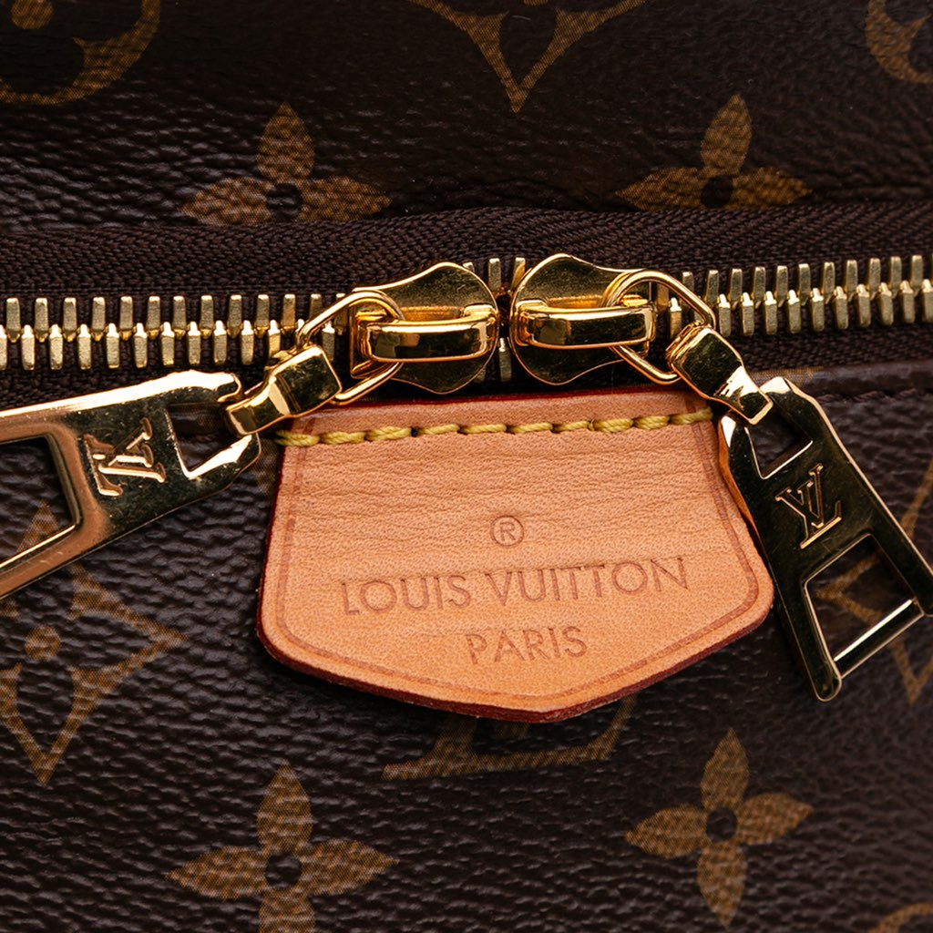 Louis Vuitton Monogram Bumbag - Detail 2